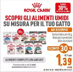 Royal Canin - Scopri Gli Alimenti Umidi Su Misura Per Il Tuo Gatto