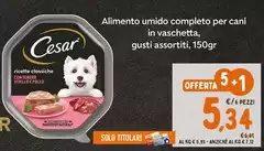 Cesar - Alimento Umido Completo Per Cani In Vaschetta