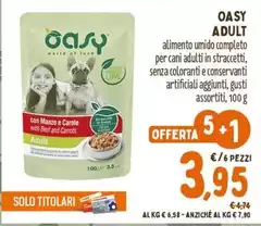 Das - Adult