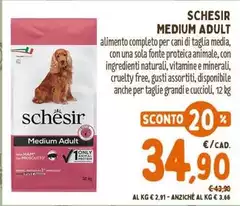 Schesir - Medium Adult