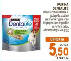 Purina - Dentalife