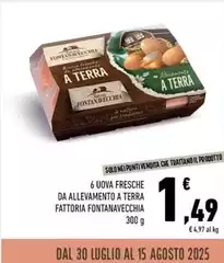 Fattoria fontanavecchia - 6 Uova Fresche Da Allevamento A Terra