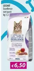 Le chat - Excellence