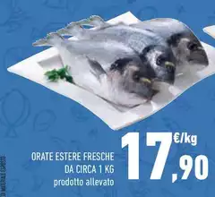 Orate Estere Fresche Da Circa