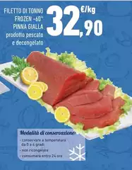 Pinna - Filetto Di Tonno Frozen 60°  Gialla
