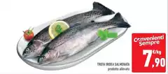 Trota Iridea, Salmonata