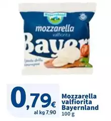Bayernland - Mozzarella Valfiorita