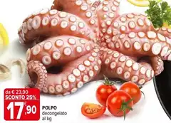 Polpo