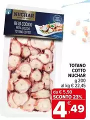 Totano Cotto