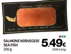 Sea fish - Salmone Norvegese