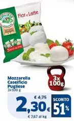 Pugliese caseificio - Mozzarella