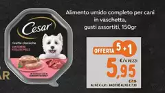 Cesar - Alimento Umido Completo Per Cani In Vaschetta
