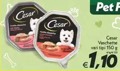 Cesar - Vaschette