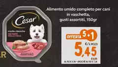 Cesar - Alimento Umido Completo Per Cani In Vaschetta
