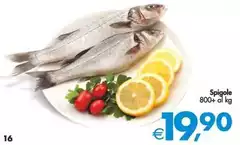 Spigale