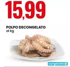 Polpo Decongelato