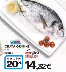 Origine - Orata