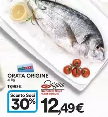 Origine - Orata