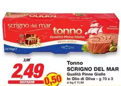 Oliva - Tonno
