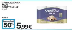 Maxi - Carta Igienica