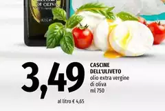 Oliva - Cascine Dell'Uliveto