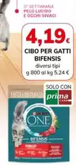 Solo - Cibo Per Gatti