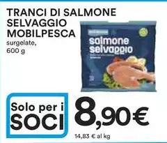 Mobilpesca - Tranci Di Salmone Selvaggio