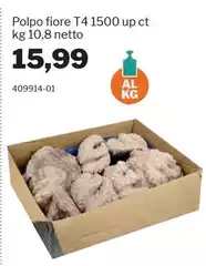 Polpo Fiore T4 1500 Up Ct