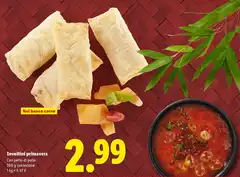 Involtini Primavera