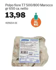 Polpo Fiore T7 500/800 Marocco