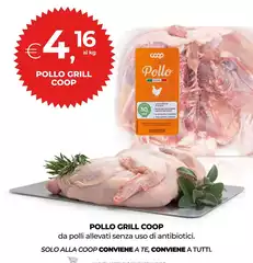 Luce - Pollo Grill