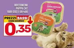 Bassi - Bocconcini Pappa Cat