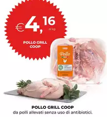 Coop - Pollo Grill