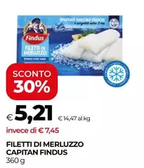 Findus - Filetti Di Merluzzo