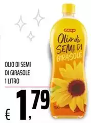 Semi - Olio Di  Di Girasole