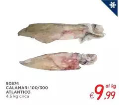 Calamari 100/300 Atlantico