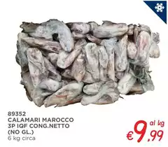 Calamari Marocco