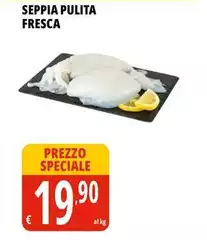 Seppia Pulita Fresca