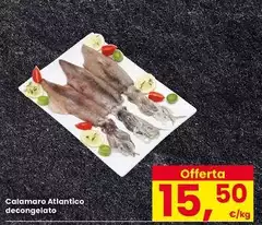 Calamaro Atlantico Decongelato