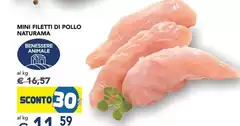 Naturama - Mini Filetti Di Pollo