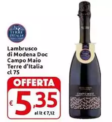 Terre d'Italia - Lambrusco Di Modena Doc Campo Maio