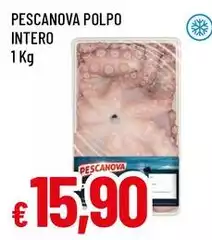 Pescanova - Polpo Intero