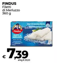 Findus - Filetti Di Merluzzo