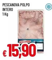 Pescanova - Polpo Intero