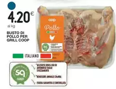 Coop - Busto Di Pollo Per Grill