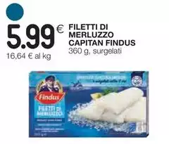Findus - Filetti Di Merluzzo
