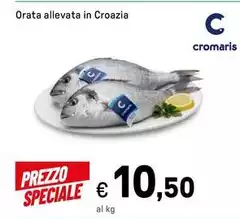 Cromaris - Orata Allevata In Croazia