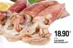 Calamari Decongelati