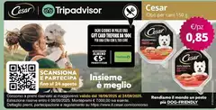 Cesar -  -