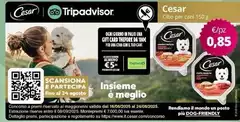 Cesar - Cibo Per Cani 